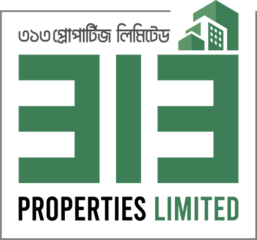 313 Logo